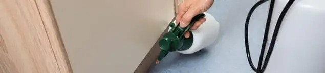Bed bug exterminator treating baseboards and cracks with targeted spray in Phoenix, AZ