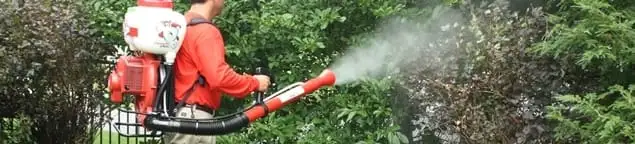 Mosquito control technician fogging shrubs and landscaping for mosquito treatment in Phoenix, AZ