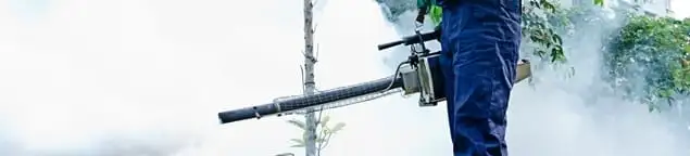 Pest control technician fogging an outdoor area for insect control in Phoenix, AZ