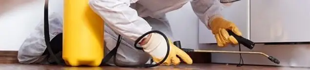 Roach exterminator treating cracks and crevices along kitchen baseboards in Phoenix, AZ