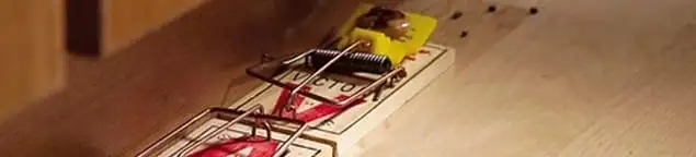 Rodent trap set indoors for rodent control and prevention in Phoenix, AZ