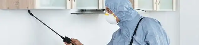 Termite treatment technician applying indoor pest control spray in Phoenix, AZ